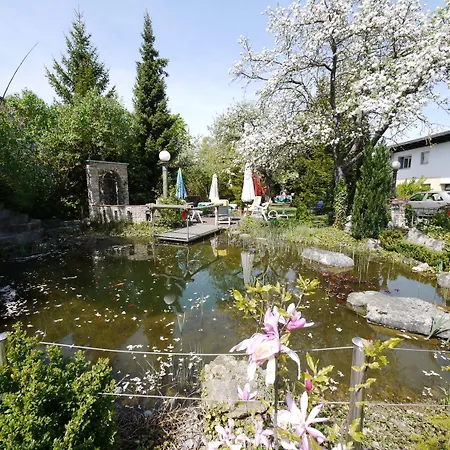 Ringhotel Alpenhof - Patchworkhotel 4*