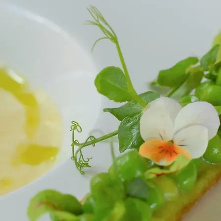 Hotel Ringhotel Alpenhof - Patchworkhotel Augsburg