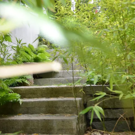 ホテル Ringhotel Alpenhof - Patchworkhotel